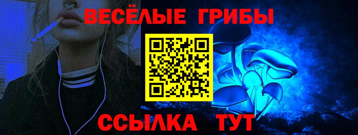 Юрга  Псилоцибиновые грибы прущие грибы  Вход с VPN 